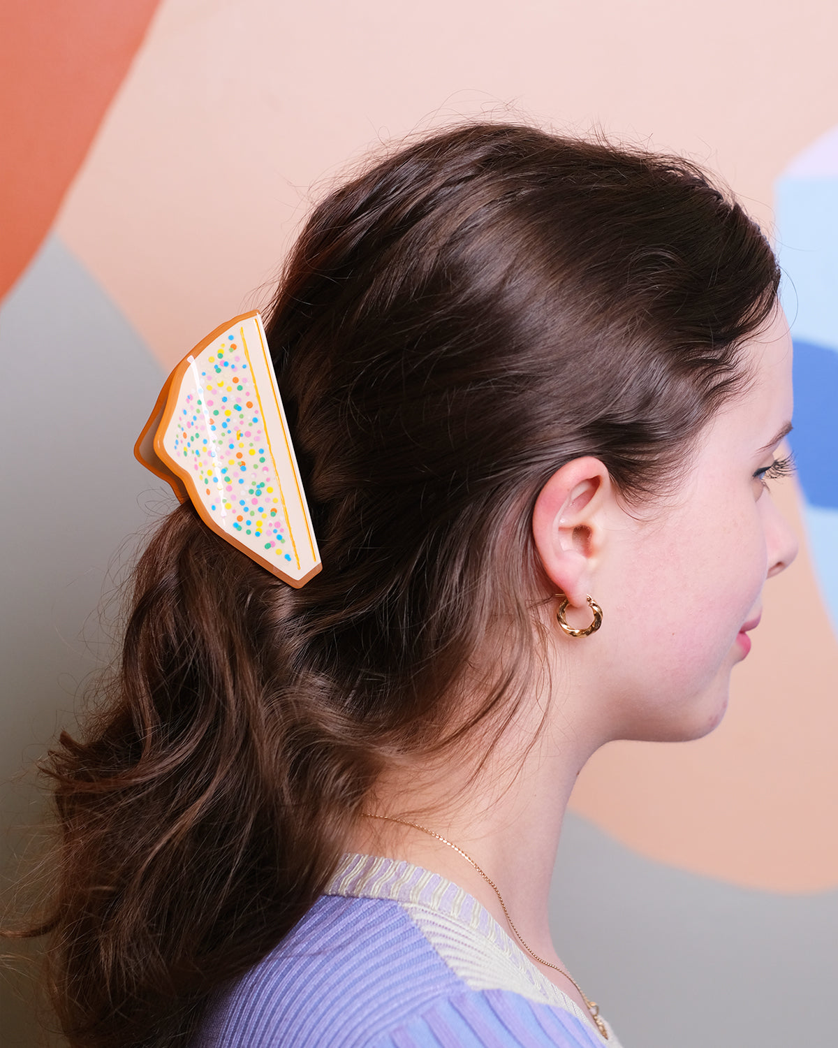 Fairy Bread Sprinkles Hair Claw Clip