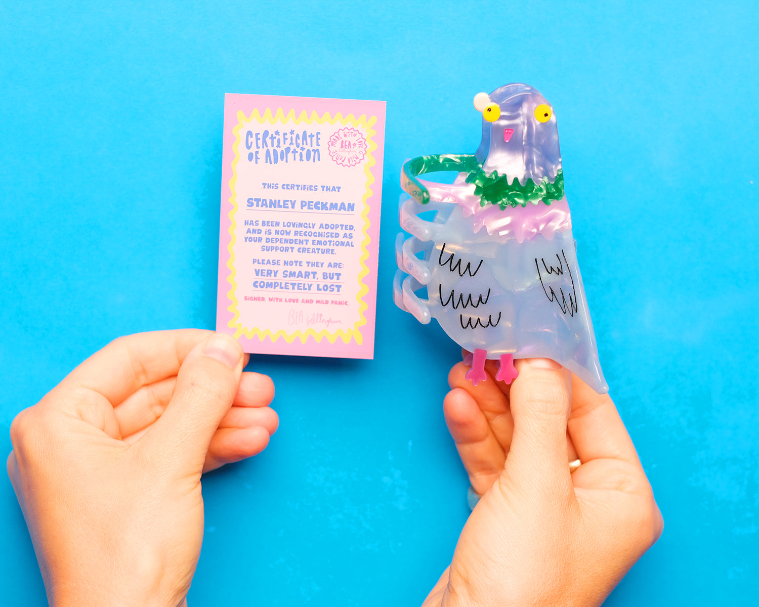 Bird Brain Pigeon Hair Claw Clip